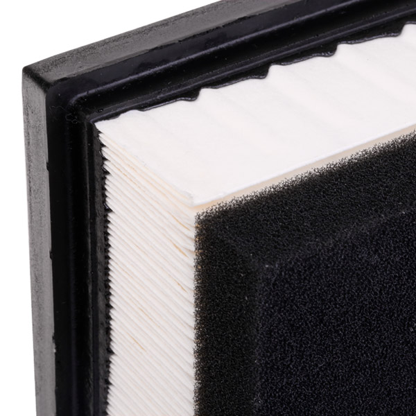 RIDEX 8A0282 Air Filter for...