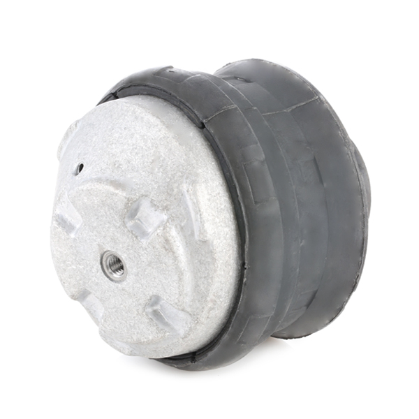 RIDEX 247E0002 Подвеска, двигатель