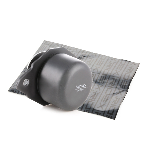 RIDEX 247E0011 Подвеска, двигатель