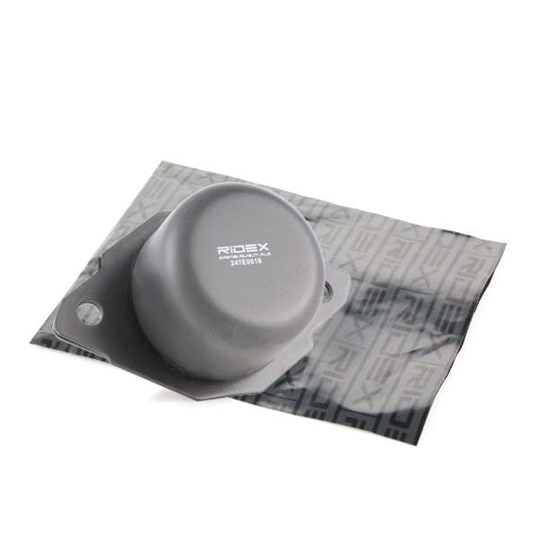 RIDEX 247E0019 Suport motor