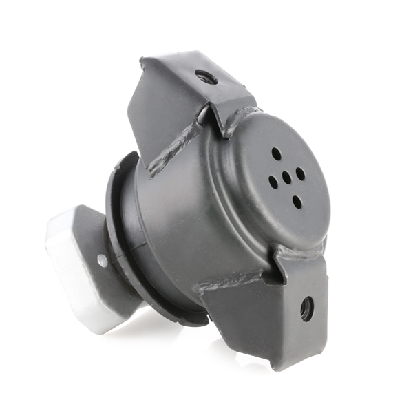 RIDEX 247E0029 Suport motor