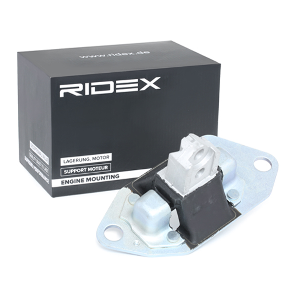 RIDEX 247E0052 Mounting,...