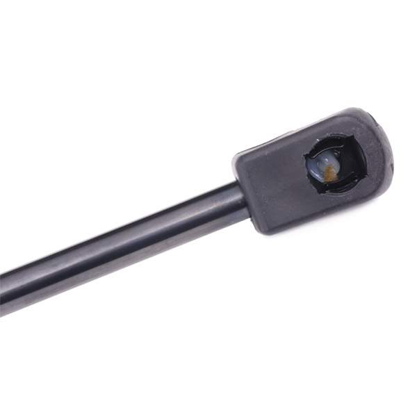 RIDEX 219G0029 Газовая пружина, крышка багажник