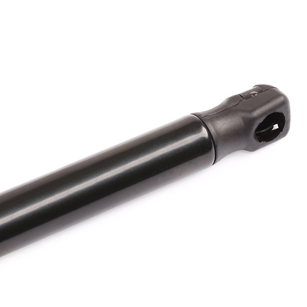 RIDEX 219G0069 Газовая пружина, крышка багажник
