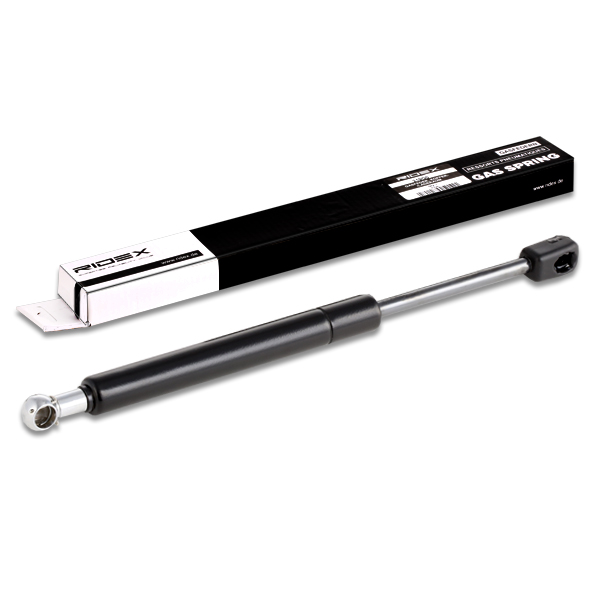 RIDEX 219G0080 Газовая пружина, крышка багажник