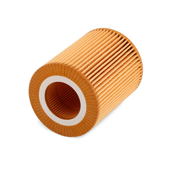 RIDEX 7O0010 Oil Filter for...