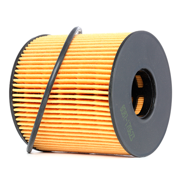 RIDEX 7O0101 Oil Filter for...