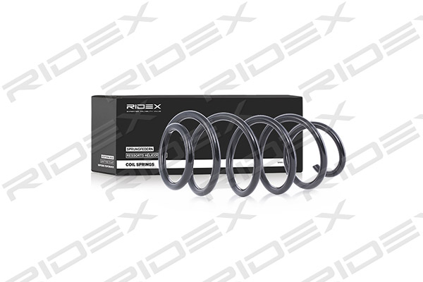 RIDEX 188C0049 Suspension...