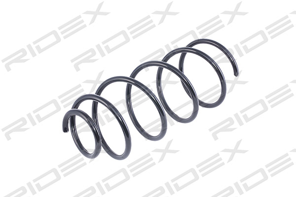 RIDEX 188C0017 Suspension...