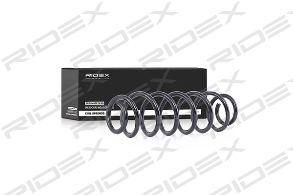 RIDEX 188C0016 Suspension...