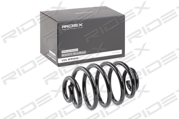 RIDEX 188C0005 Suspension...