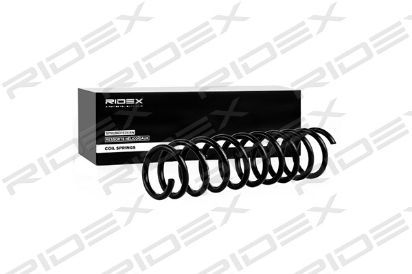 RIDEX 188C0027 Suspension...