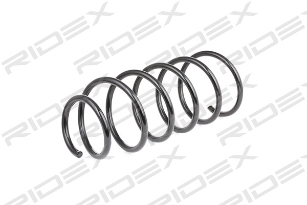 RIDEX 188C0169 Suspension...