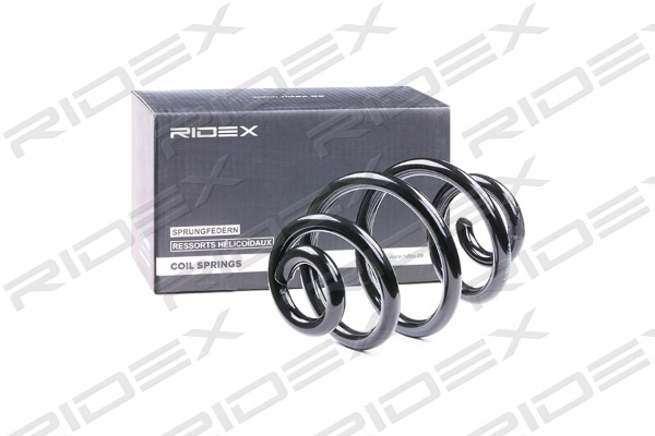 RIDEX 188C0014 Suspension...
