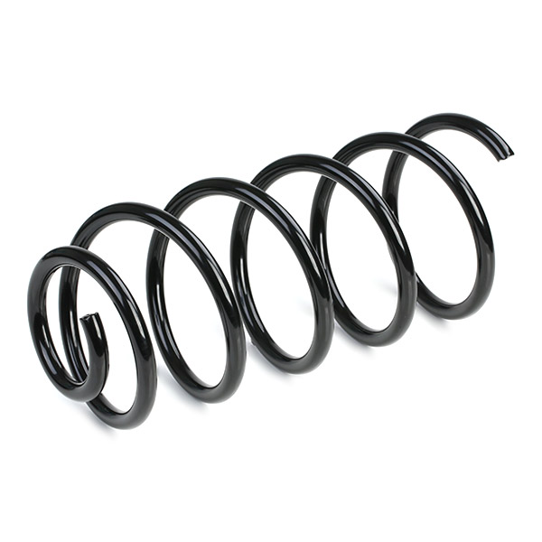 RIDEX 188C0060 Suspension...