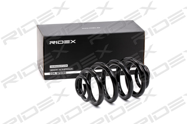 RIDEX 188C0166 Suspension...