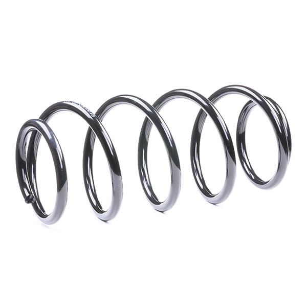 RIDEX 188C0102 Suspension...