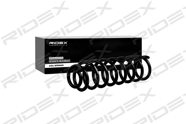 RIDEX 188C0040 Suspension...