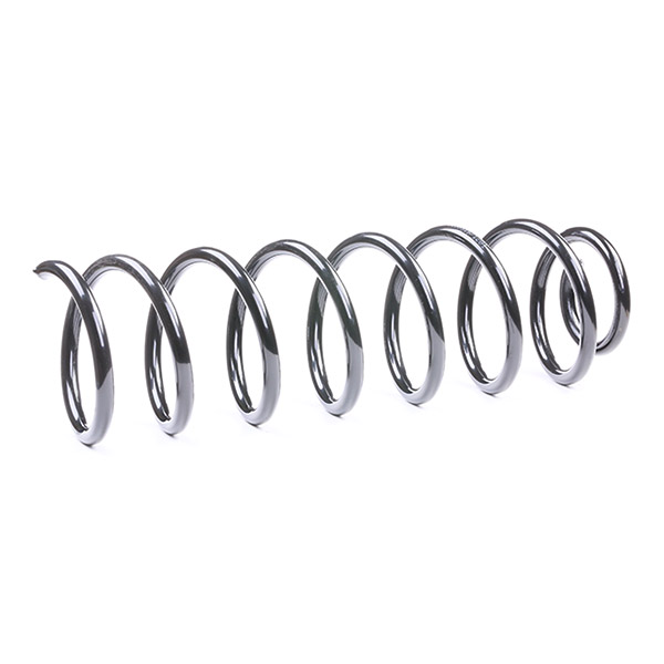 RIDEX 188C0070 Suspension...
