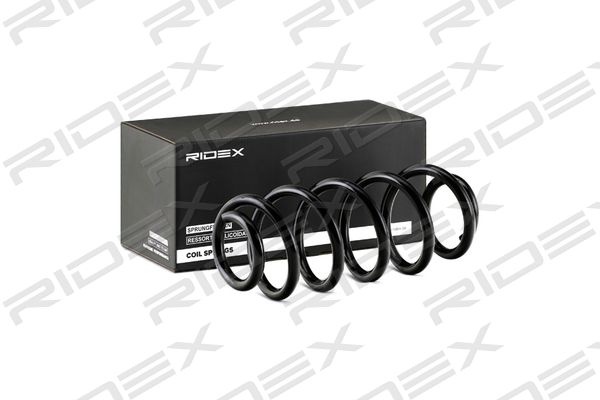 RIDEX 188C0080 Suspension...