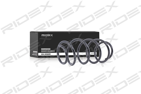RIDEX 188C0034 Suspension...