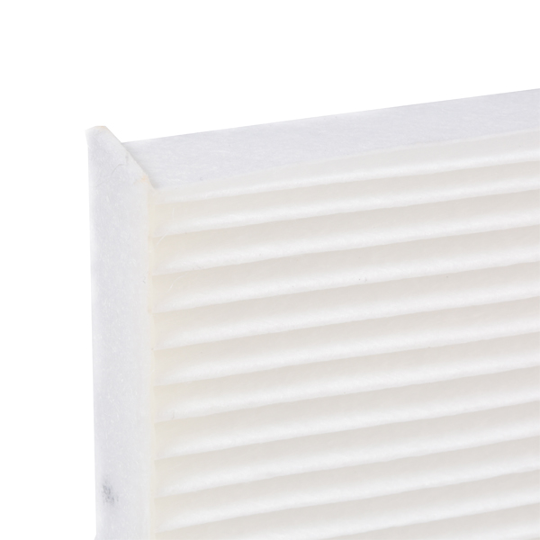 RIDEX 424I0354 Filter,...