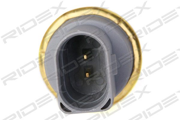 RIDEX 830C0019 Sensor,...