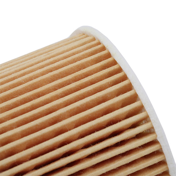 RIDEX 7O0125 Oil Filter for...