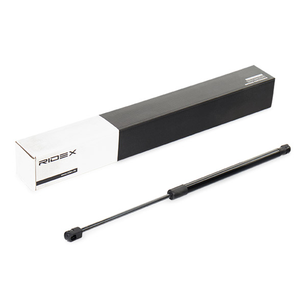 RIDEX 219G0126 Газовая пружина, крышка багажник
