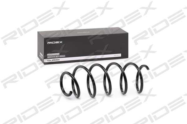 RIDEX 188C0073 Suspension...