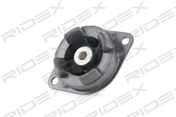 RIDEX 247E0080 Подвеска, двигатель
