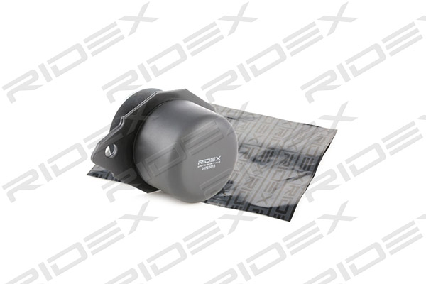 RIDEX 247E0013 Подвеска, двигатель
