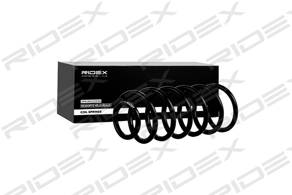 RIDEX 188C0197 Suspension...