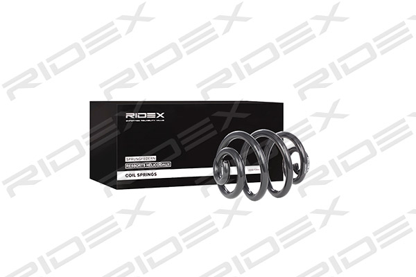 RIDEX 188C0024 Suspension...