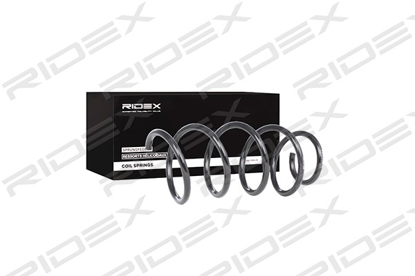RIDEX 188C0188 Suspension...