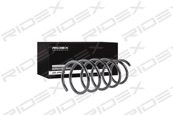 RIDEX 188C0051 Suspension...