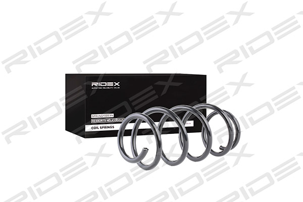RIDEX 188C0319 Suspension...
