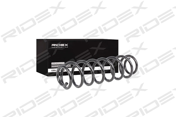 RIDEX 188C0366 Suspension...