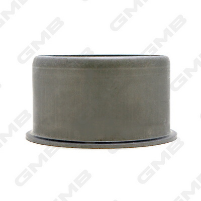 GMB GUMZ-2 Joint, propshaft