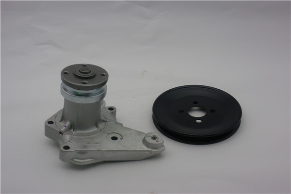 NPW S10 W/PUMP