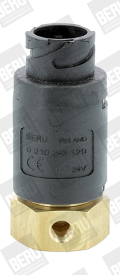 BERU by DRiV MV129 Valve,...