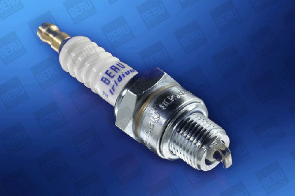 BERU by DRiV Z195 Spark Plug