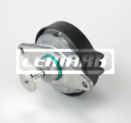 LEMARK LEGR164 EGR Valve