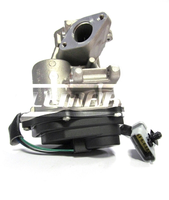 LEMARK LEGR219 EGR Valve