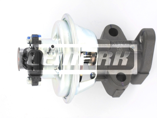 LEMARK LEGR269 EGR Valve