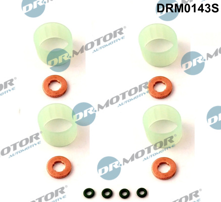 Dr.Motor Automotive DRM0143S Kit guarnizioni, Iniettore-Kit guarnizioni, Iniettore-Ricambi Euro