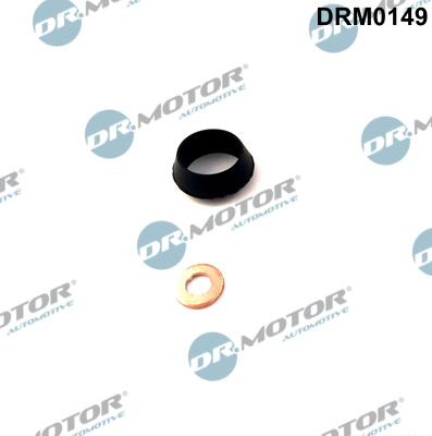 Dr.Motor Automotive DRM0149 Kit guarnizioni, Iniettore