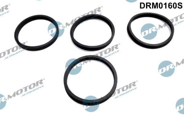 Dr.Motor Automotive DRM0160S Kit guarnizioni, Collettore aspirazione-Kit guarnizioni, Collettore aspirazione-Ricambi Euro