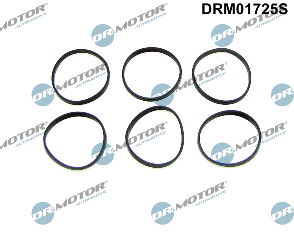 Dr.Motor Automotive DRM01201S Tetningssett, innsugningsmanifold