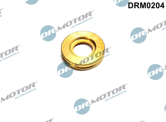 Dr.Motor Automotive DRM0204 Guarnizione, Portapolverizzatore